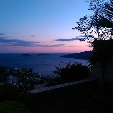 Calico Kalkan